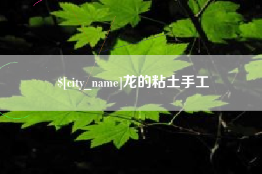 娄底龙的粘土手工