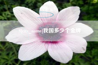 娄底我国多少个金牌