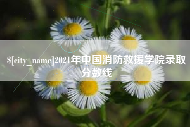 娄底2021年中国消防救援学院录取分数线