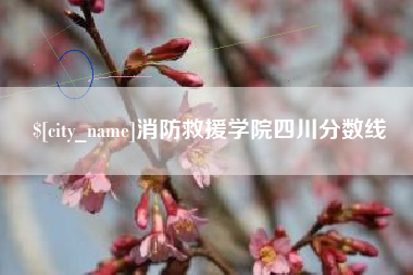 娄底消防救援学院四川分数线