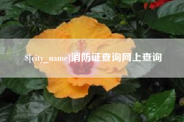 娄底消防证查询网上查询