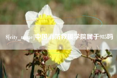 娄底中国消防救援学院属于985吗
