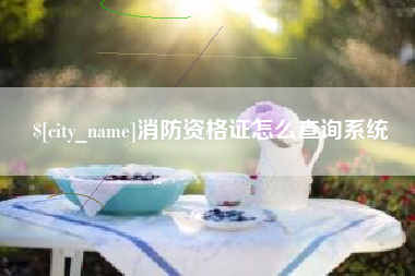 娄底消防资格证怎么查询系统