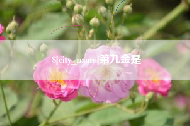 娄底第九金是