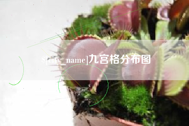 娄底九宫格分布图