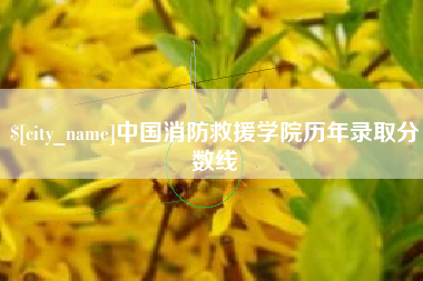 娄底中国消防救援学院历年录取分数线