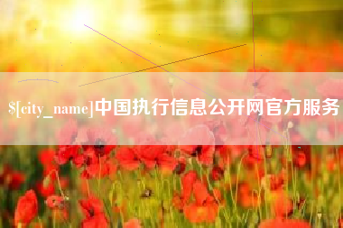 娄底中国执行信息公开网官方服务