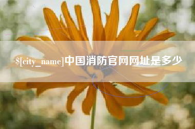 娄底中国消防官网网址是多少