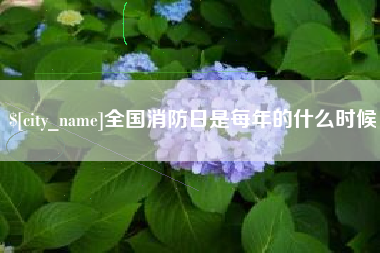 娄底全国消防日是每年的什么时候