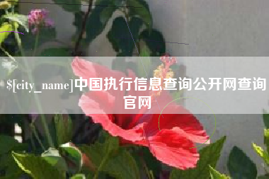 娄底中国执行信息查询公开网查询官网