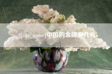 娄底中国的金牌有几名