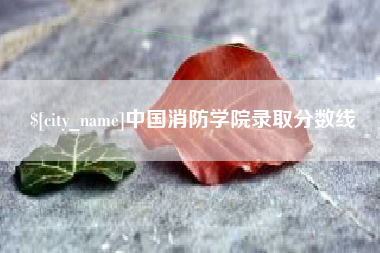 娄底中国消防学院录取分数线