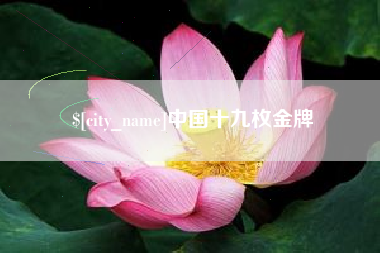 娄底中国十九枚金牌