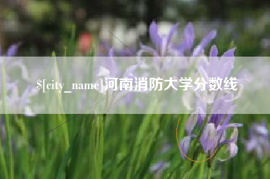 娄底河南消防大学分数线