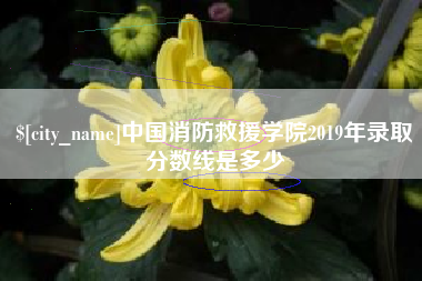 娄底中国消防救援学院2019年录取分数线是多少