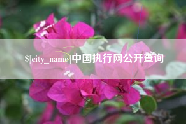 娄底中国执行网公开查询
