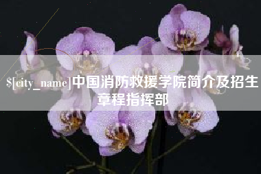 娄底中国消防救援学院简介及招生章程指挥部