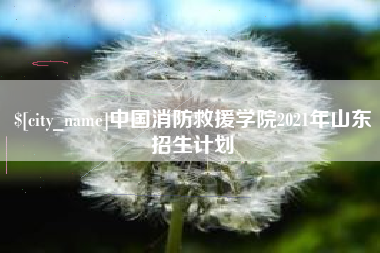 娄底中国消防救援学院2021年山东招生计划