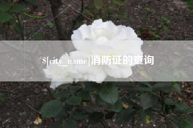 娄底消防证的查询
