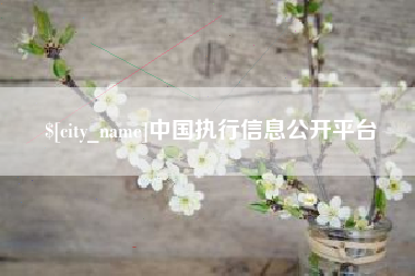 娄底中国执行信息公开平台
