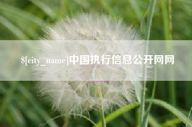 娄底中国执行信息公开网网