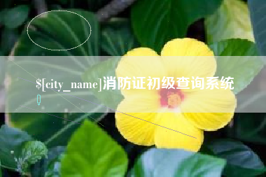 娄底消防证初级查询系统