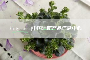 娄底中国消防产品信息中心