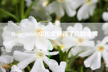 娄底中国金牌得了几枚金牌