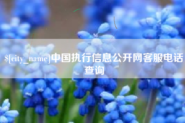 娄底中国执行信息公开网客服电话查询