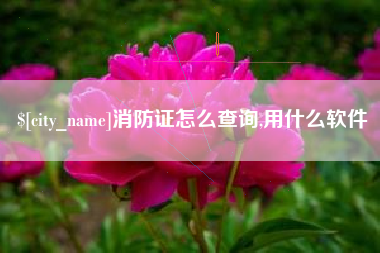 娄底消防证怎么查询,用什么软件