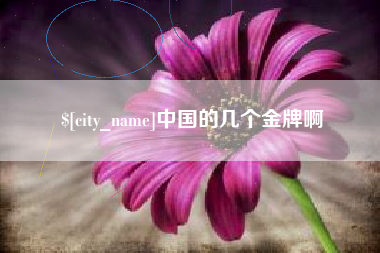 娄底中国的几个金牌啊