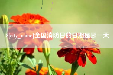 娄底全国消防日的日期是哪一天