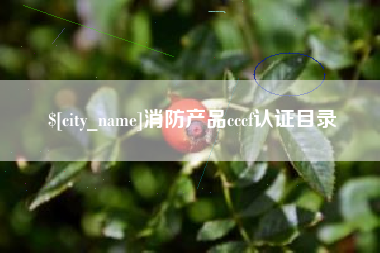 娄底消防产品cccf认证目录
