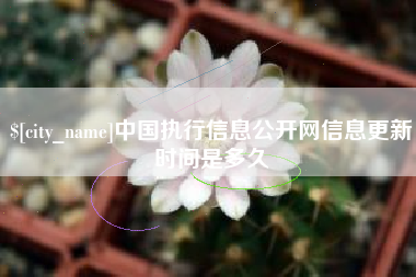娄底中国执行信息公开网信息更新时间是多久