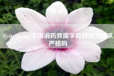 娄底中国消防救援学院对视力要求严格吗