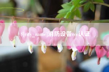 娄底消防设备ccc认证