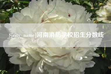 娄底河南消防学校招生分数线