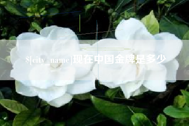 娄底现在中国金牌是多少
