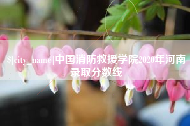 娄底中国消防救援学院2020年河南录取分数线