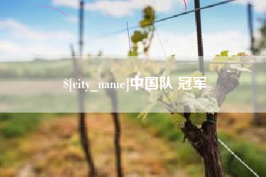 娄底中国队 冠军