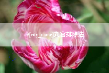 娄底九宫排除法