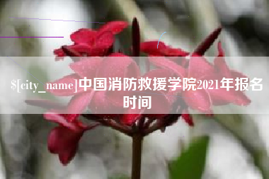 娄底中国消防救援学院2021年报名时间