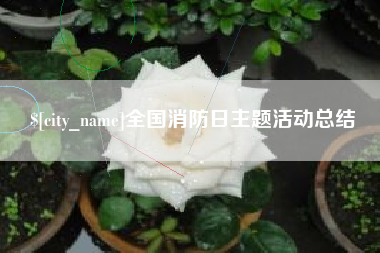 娄底全国消防日主题活动总结