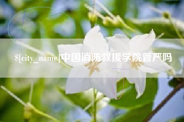 娄底中国消防救援学院管严吗