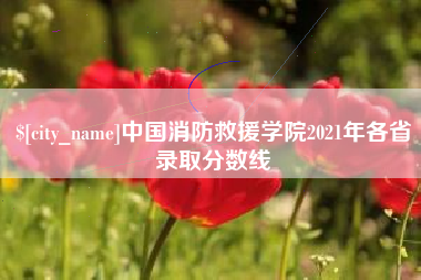 娄底中国消防救援学院2021年各省录取分数线
