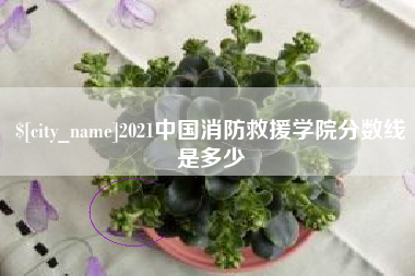 娄底2021中国消防救援学院分数线是多少