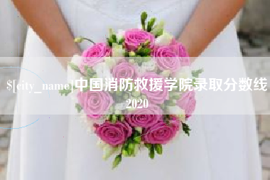 娄底中国消防救援学院录取分数线2020