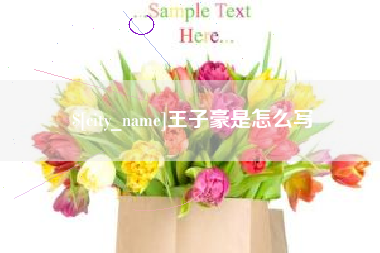 娄底王子豪是怎么写