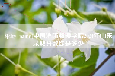娄底中国消防救援学院2021年山东录取分数线是多少