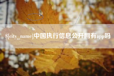 娄底中国执行信息公开网有app吗